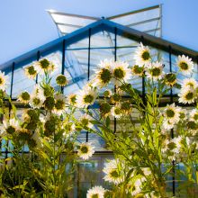 Orangerie im Kurpark